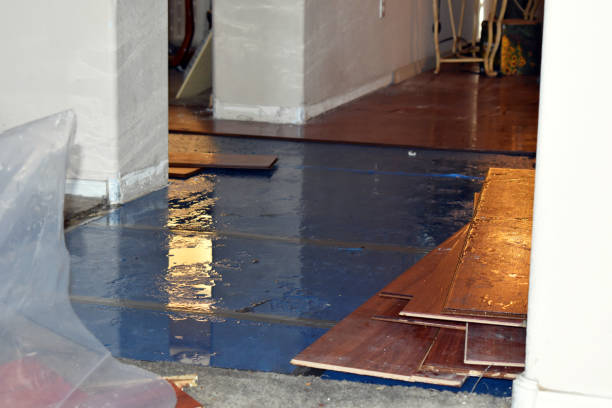 Professional Burst Pipe Cleanup technician working in Grandview, IL